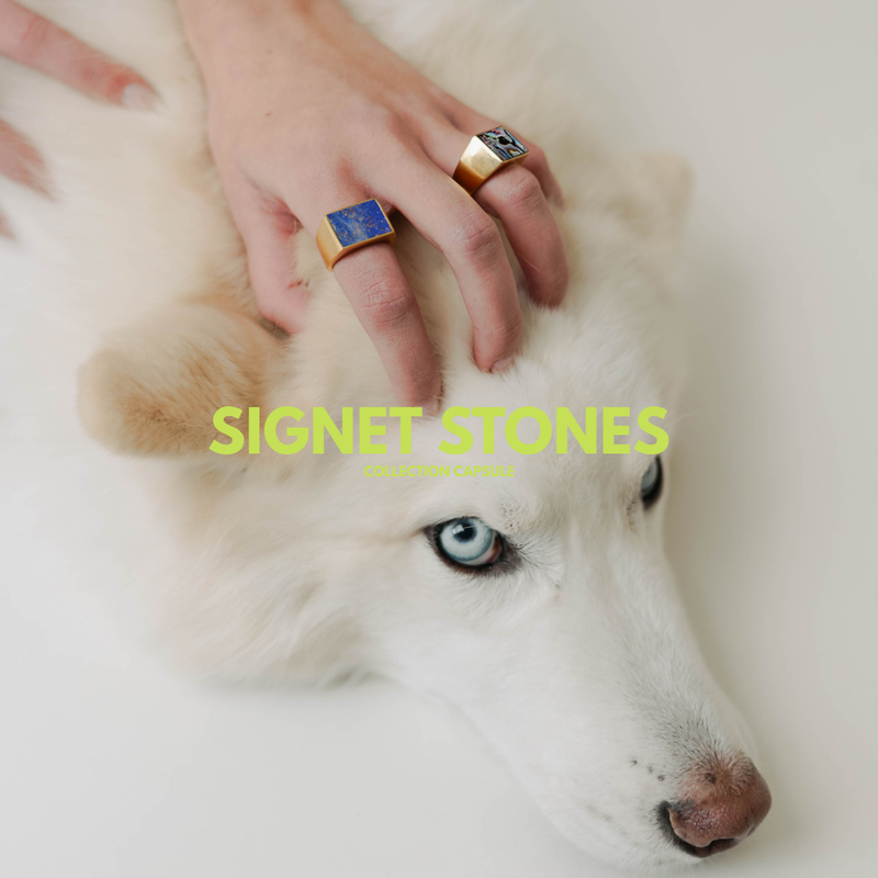 SIGNET STONES