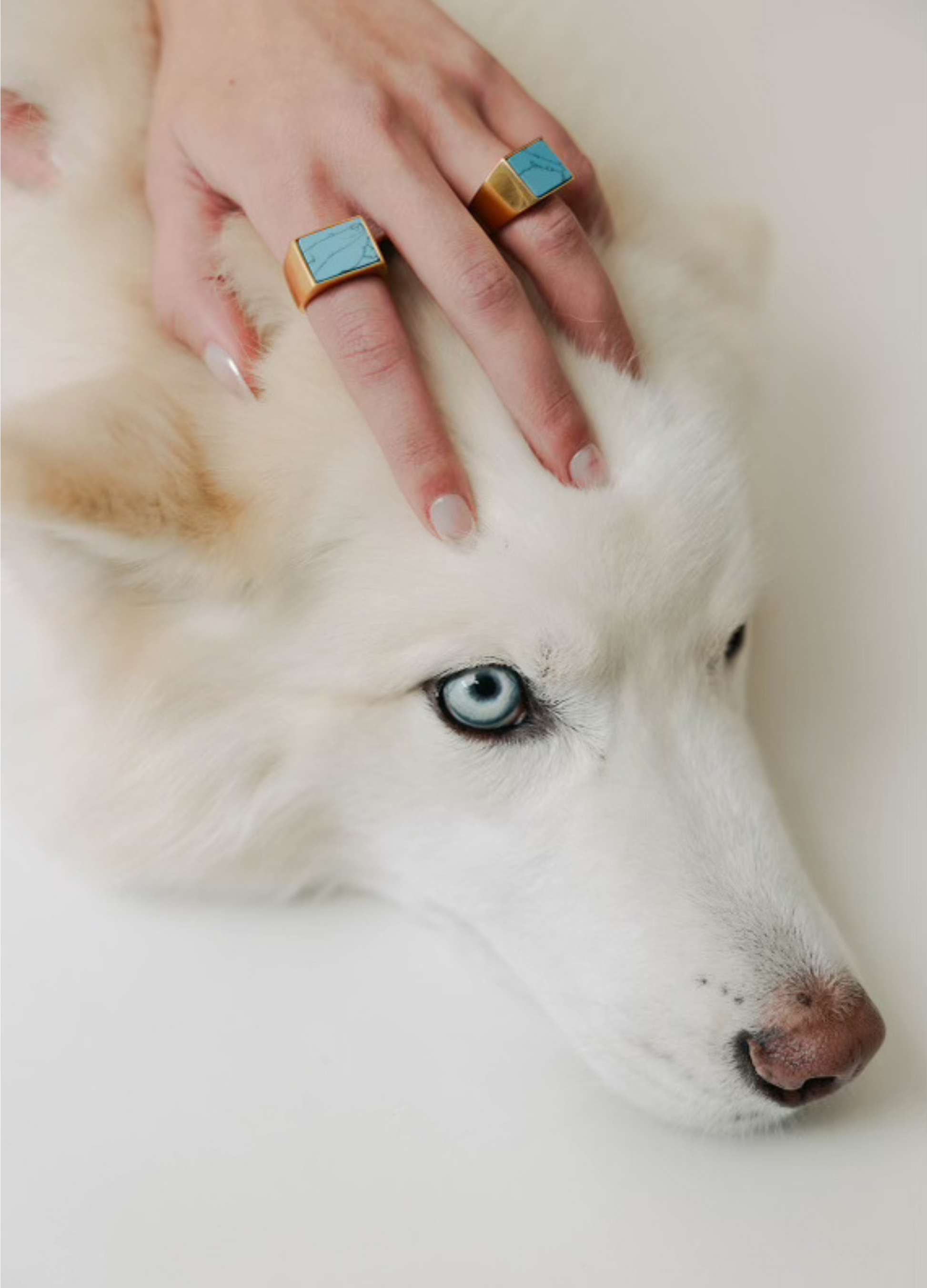 middle-finger-mens-womens-unisex-turquoise-signet-ring-gold-modern-clean-design-jewelry